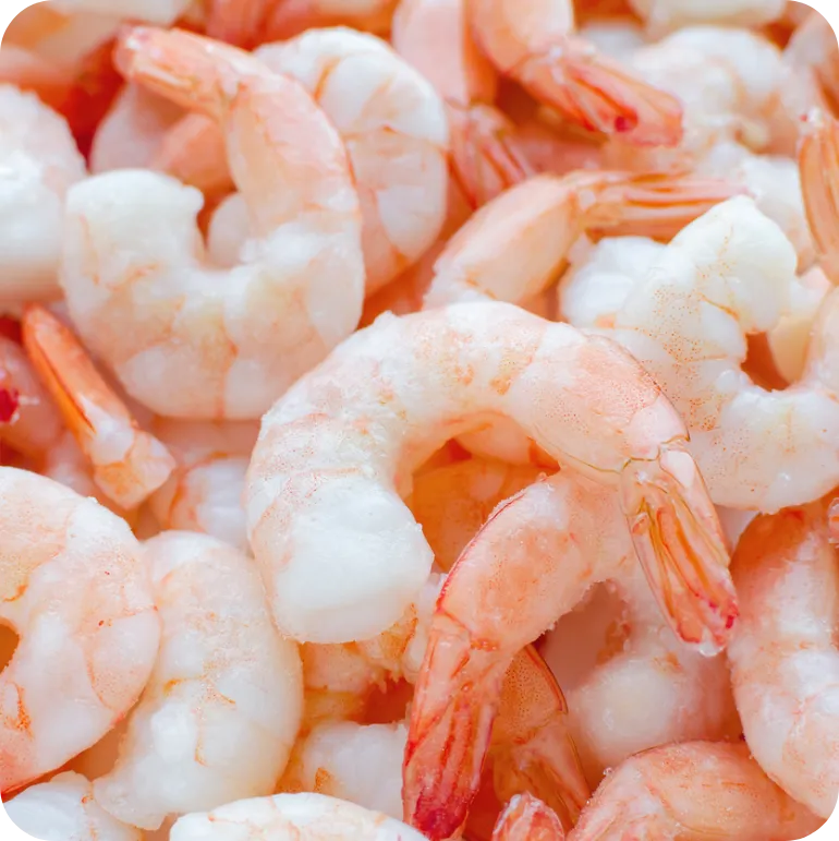 Close-up of cooked wild Gulf shrimp