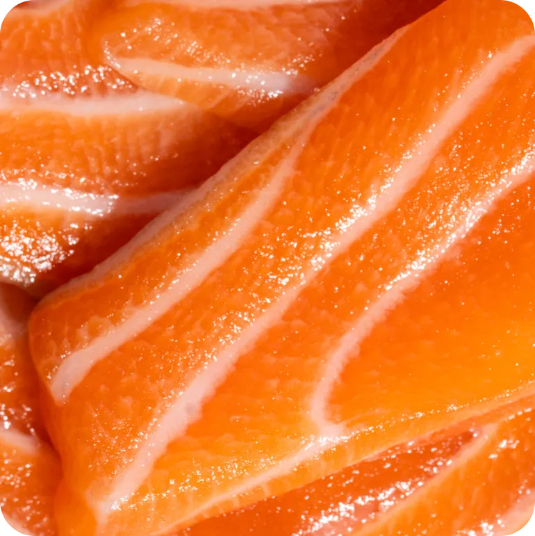 Close-up of fresh sliced Atlantic salmon with natural fat marbling