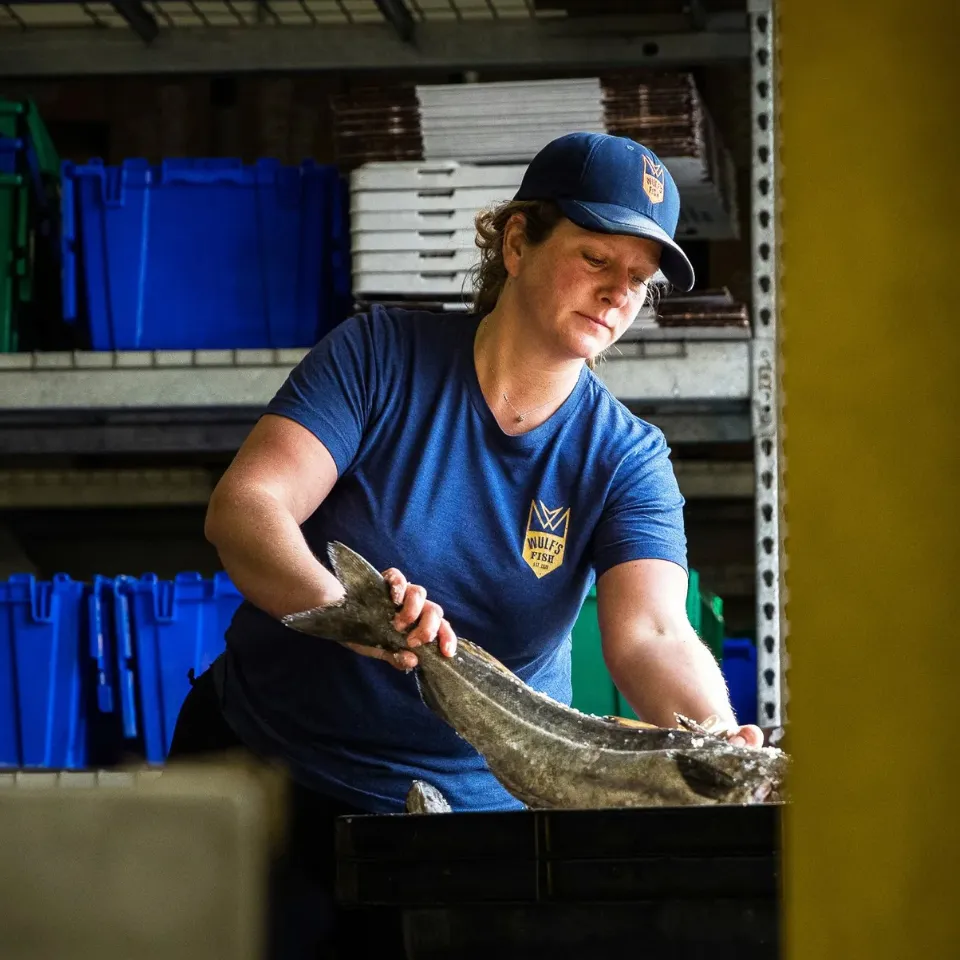 A fishmonger in a Wulf's Fish shirt handling a whole fresh fish
