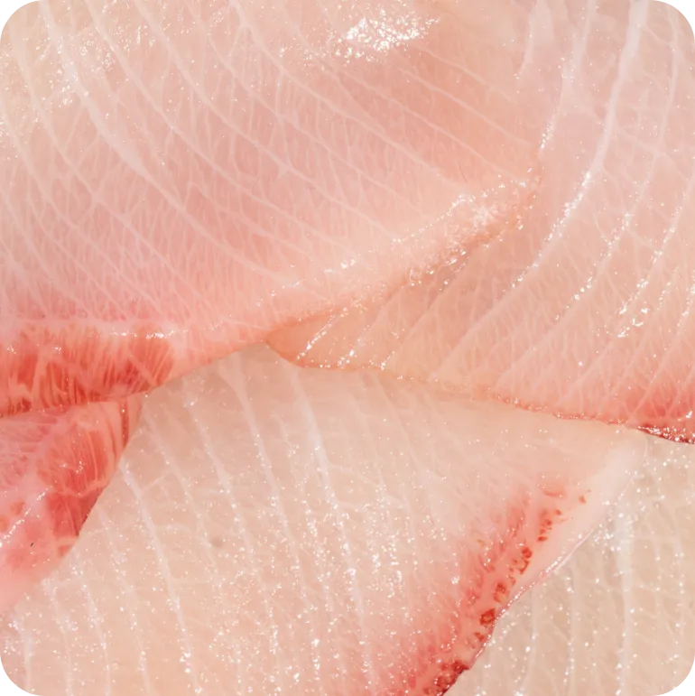 Close-up of pale sliced amberjack